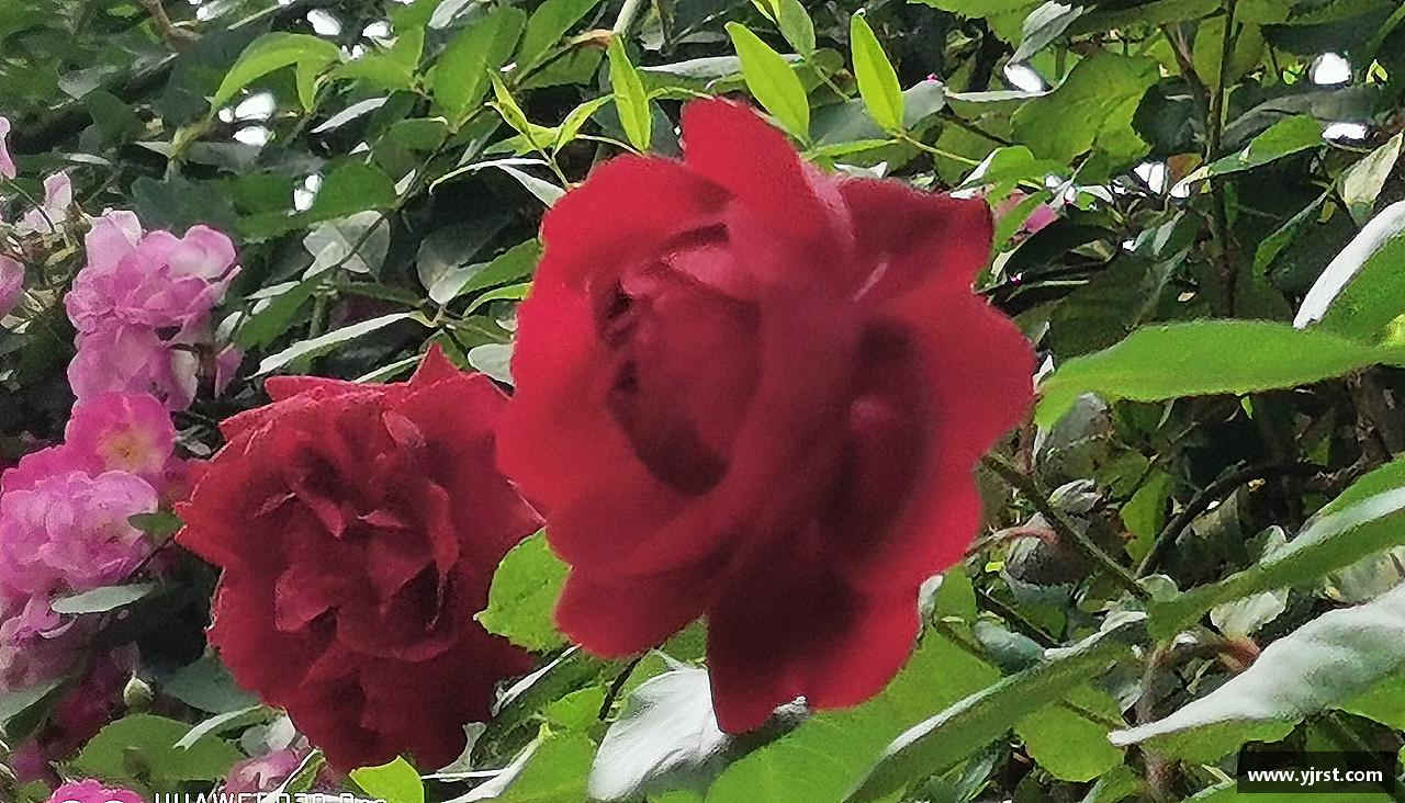 米兰官网超越自我，荣耀青春